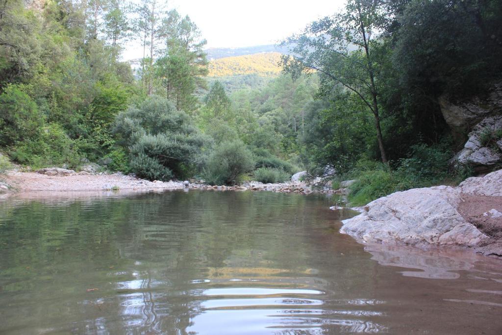 Sant Llorenc de la Muga Can Carreras المظهر الخارجي الصورة